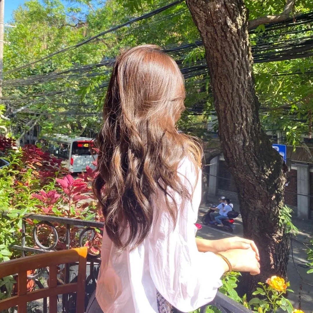 巨浪白鲨鱼